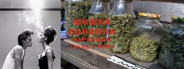 стафф Богородицк